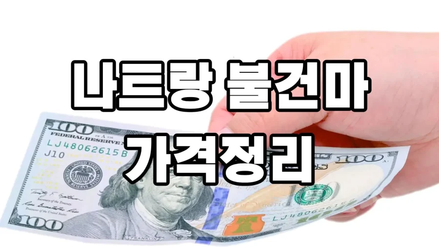 나트랑 불건마 가격