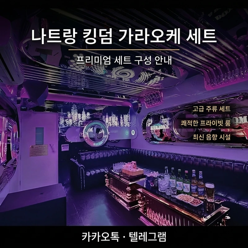 나트랑 킹덤 가라오케 세트 구성