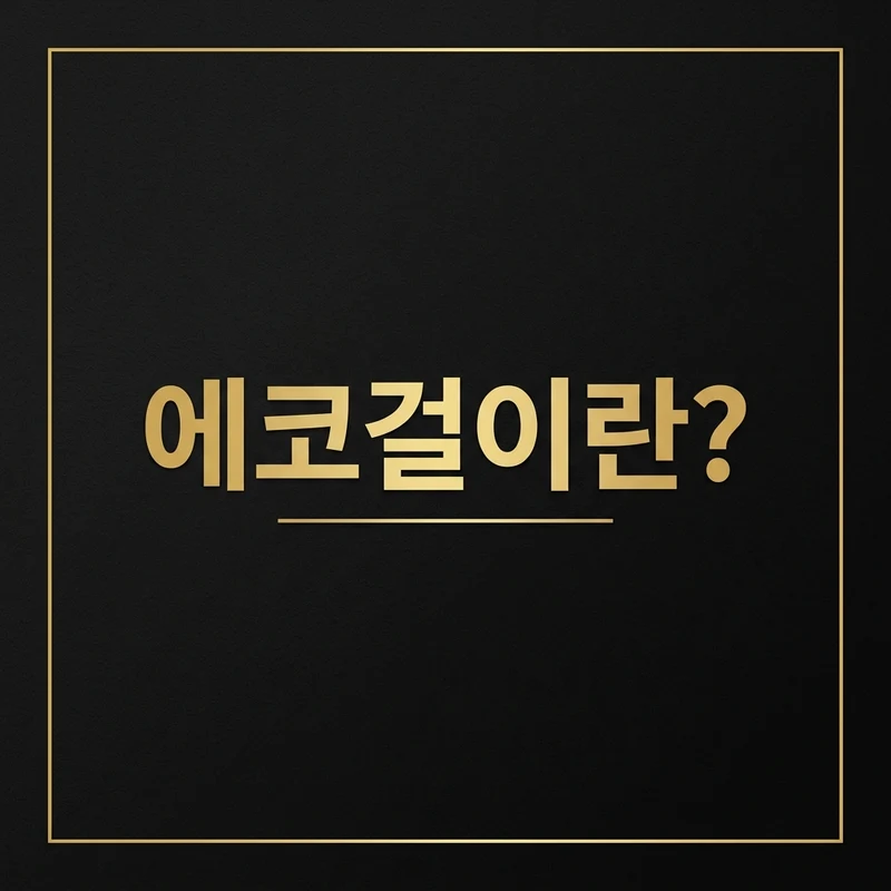 나트랑 에코걸이란? 뜻·차이·주의사항 완전정리 (2026)